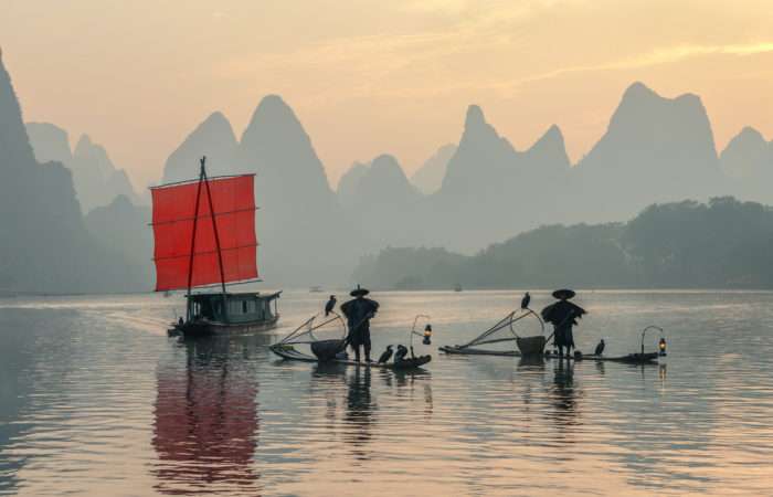 cormorant fishing