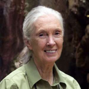 Dr. Jane Goodall Zoom downsize