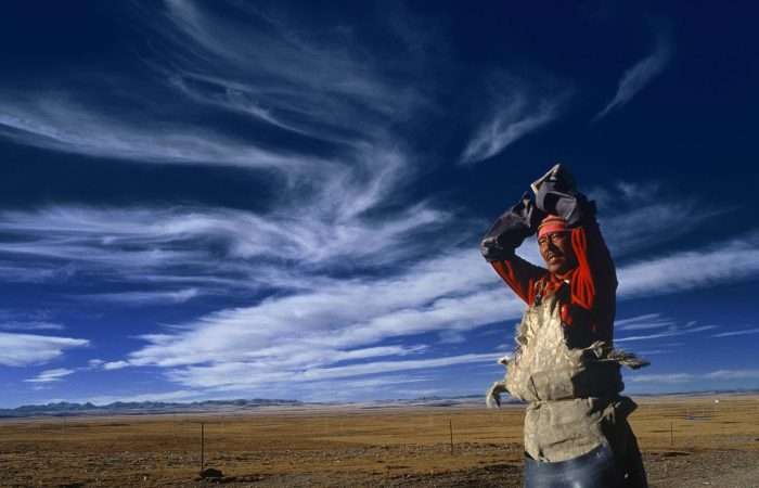 Man looking after cattle on the Tibetan plateau