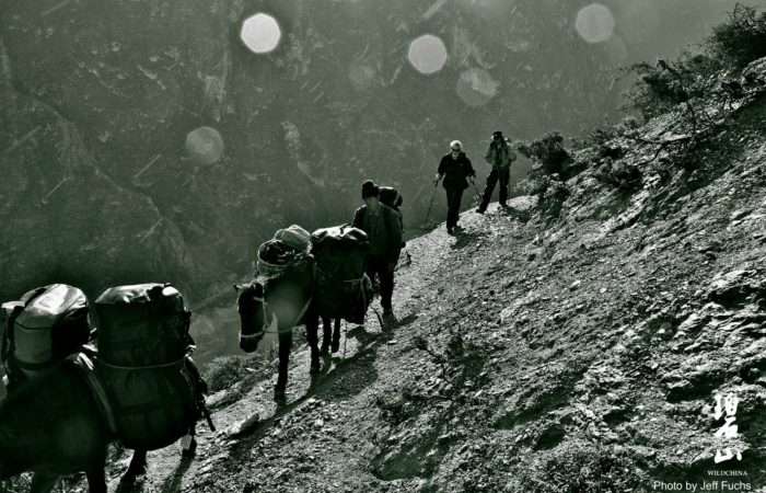 Traversing the Ancient Tea Horse Road with Jeff Fuchs